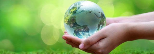Software para la Economía Circular: Transformando el Futuro
